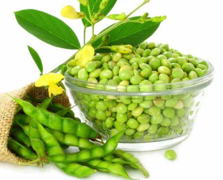 Pigeon Peas/Bhaazi 90Kgs