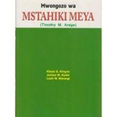 MWONGOZO WA MSTAHIKI MEYA